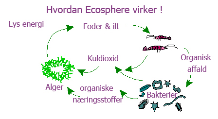 Ecosphere virker