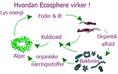 Deres levesteder